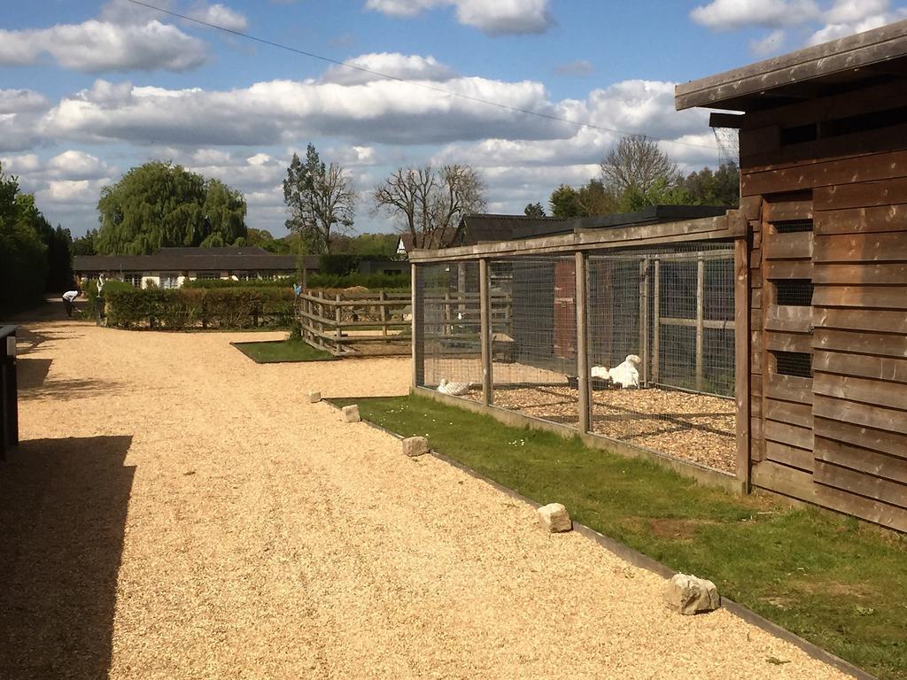 Willow Court Farm Studio West & Petting Farm, 8 Mins To Legoland & Windsor, 15 Mins To Lapland Uk Βίλα Εξωτερικό φωτογραφία